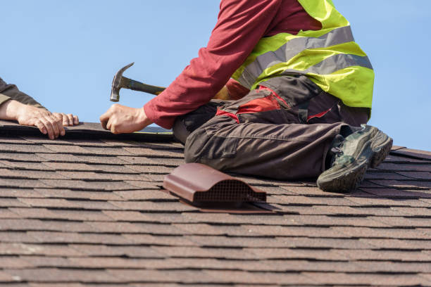 Best Metal Roofing Contractor  in Rustburg, VA