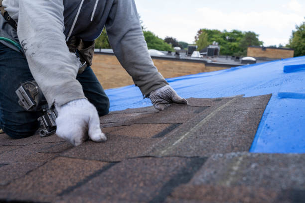 Best Roofing Contractor Near Me  in Rustburg, VA