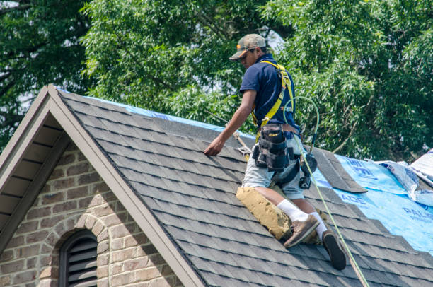 Best Roof Restoration Services  in Rustburg, VA